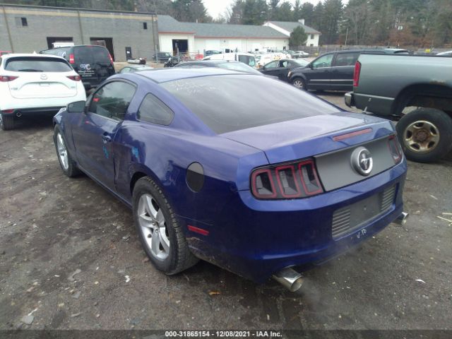 Photo 2 VIN: 1ZVBP8AM9D5278082 - FORD MUSTANG 