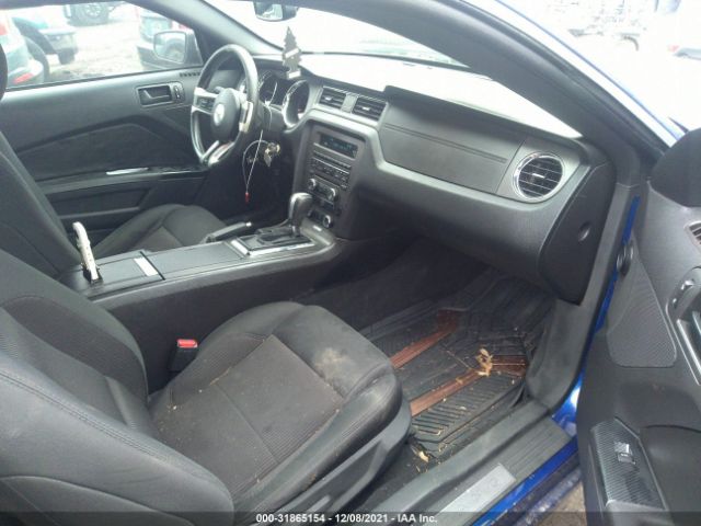 Photo 4 VIN: 1ZVBP8AM9D5278082 - FORD MUSTANG 