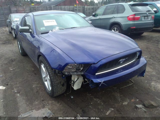 Photo 5 VIN: 1ZVBP8AM9D5278082 - FORD MUSTANG 