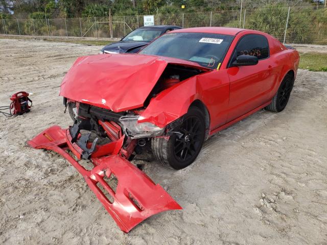 Photo 1 VIN: 1ZVBP8AM9E5203416 - FORD MUSTANG 