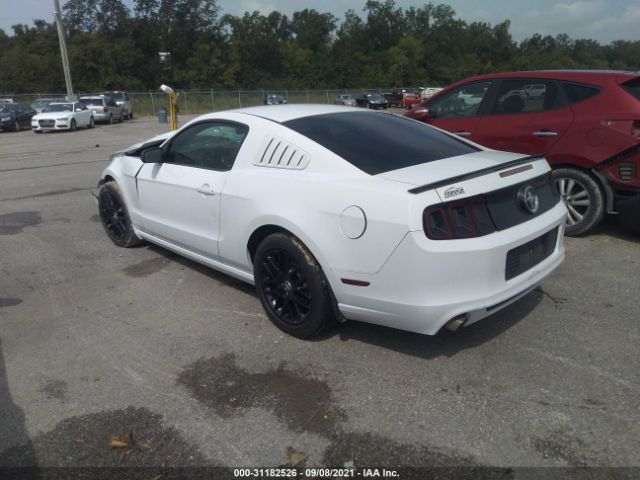 Photo 2 VIN: 1ZVBP8AM9E5214464 - FORD MUSTANG 