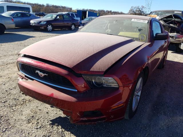 Photo 1 VIN: 1ZVBP8AM9E5231667 - FORD MUSTANG 