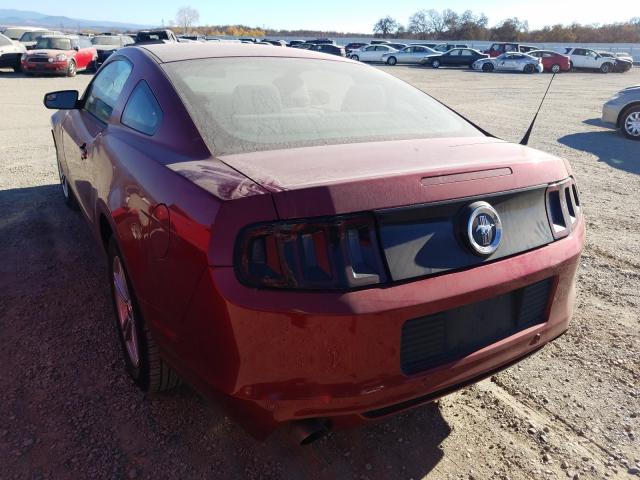 Photo 2 VIN: 1ZVBP8AM9E5231667 - FORD MUSTANG 