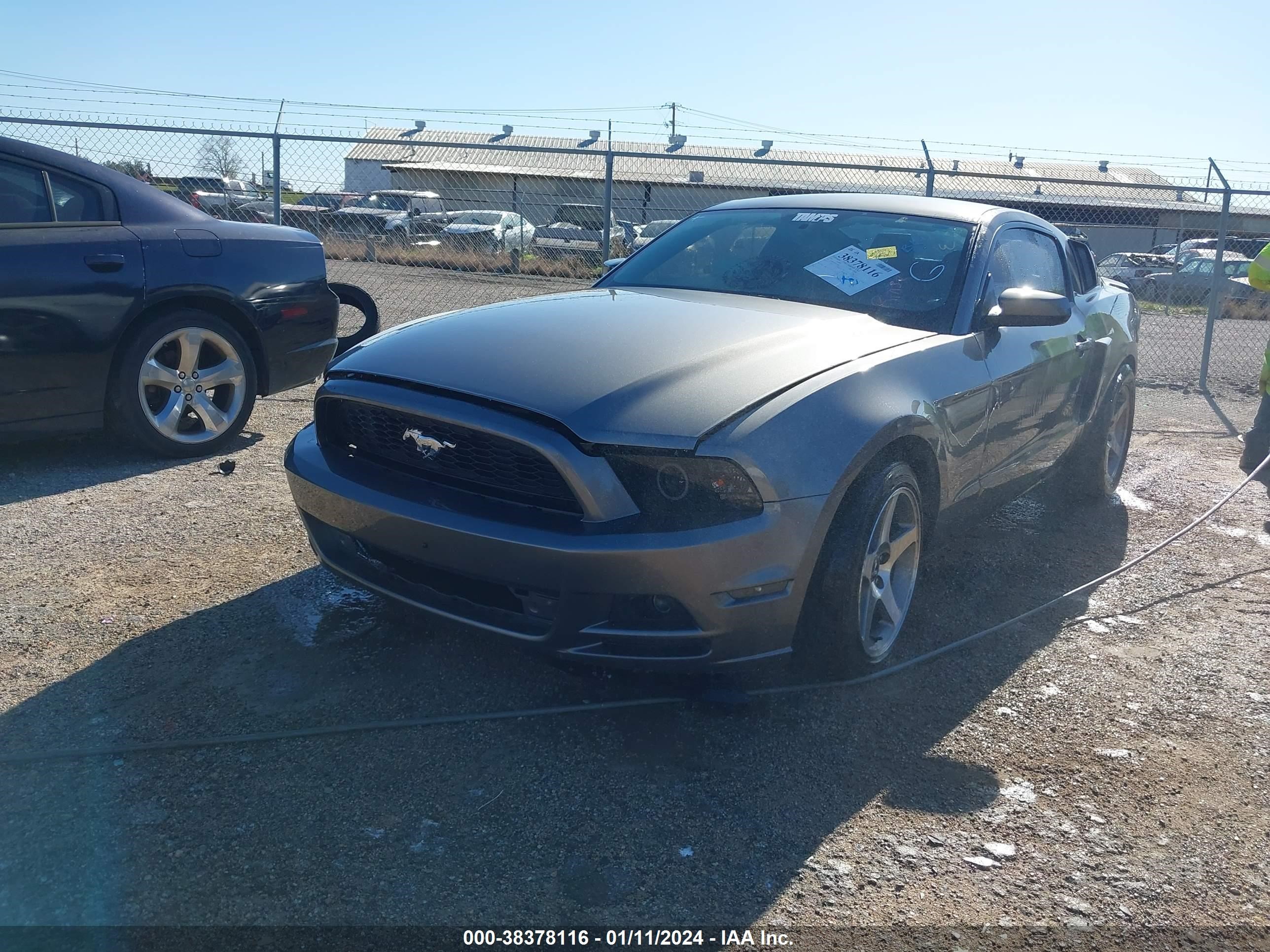 Photo 1 VIN: 1ZVBP8AM9E5239087 - FORD MUSTANG 