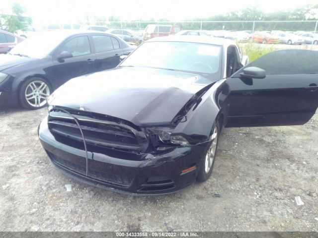 Photo 5 VIN: 1ZVBP8AM9E5253619 - FORD MUSTANG 