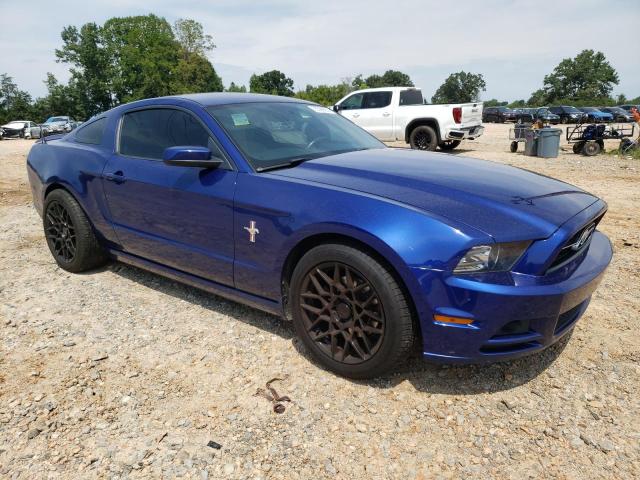 Photo 3 VIN: 1ZVBP8AM9E5256018 - FORD MUSTANG 