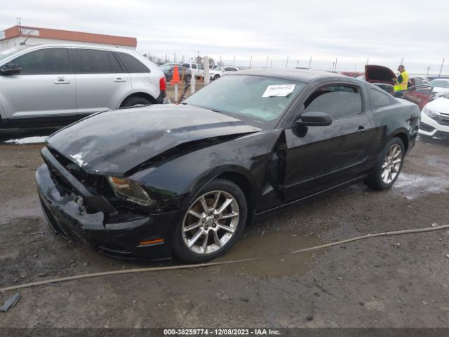 Photo 1 VIN: 1ZVBP8AM9E5261865 - FORD MUSTANG 