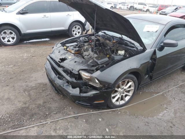 Photo 5 VIN: 1ZVBP8AM9E5261865 - FORD MUSTANG 