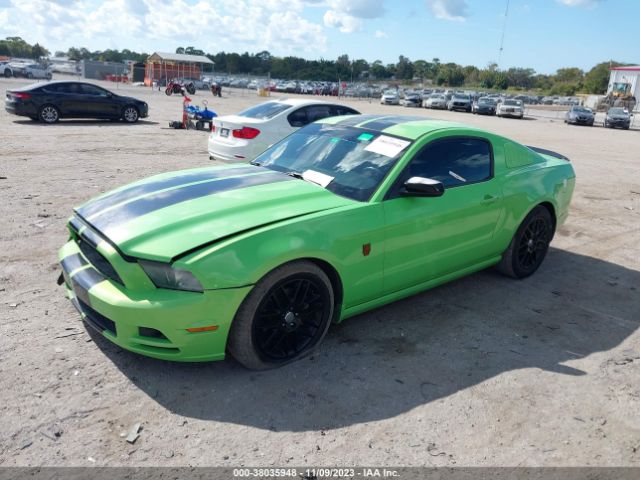 Photo 1 VIN: 1ZVBP8AM9E5262904 - FORD MUSTANG 