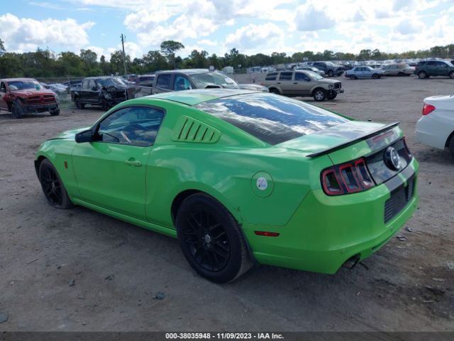 Photo 2 VIN: 1ZVBP8AM9E5262904 - FORD MUSTANG 