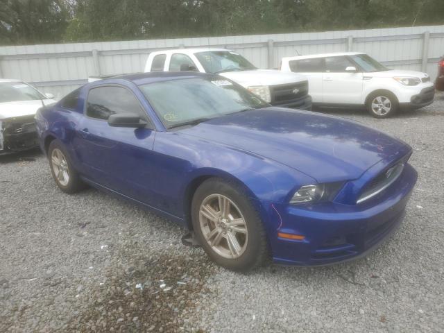 Photo 3 VIN: 1ZVBP8AM9E5263924 - FORD MUSTANG 