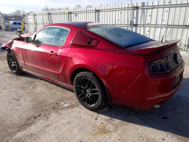 Photo 1 VIN: 1ZVBP8AM9E5269805 - FORD MUSTANG 