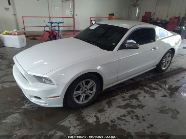 Photo 1 VIN: 1ZVBP8AM9E5276625 - FORD MUSTANG 