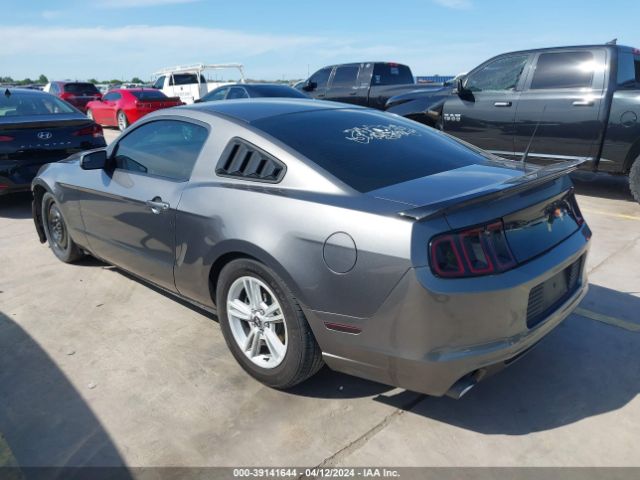 Photo 2 VIN: 1ZVBP8AM9E5284238 - FORD MUSTANG 