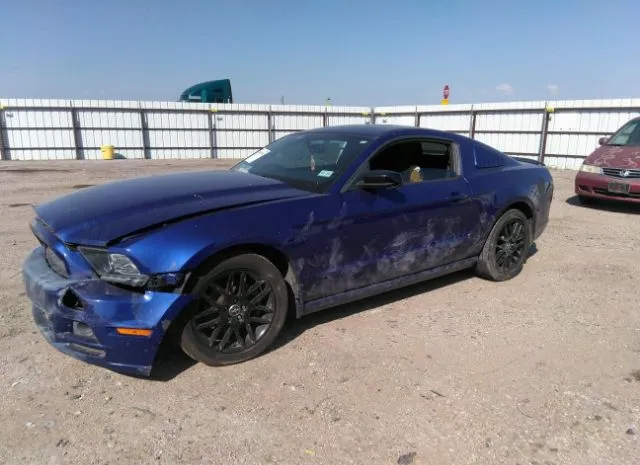 Photo 1 VIN: 1ZVBP8AM9E5284403 - FORD MUSTANG 