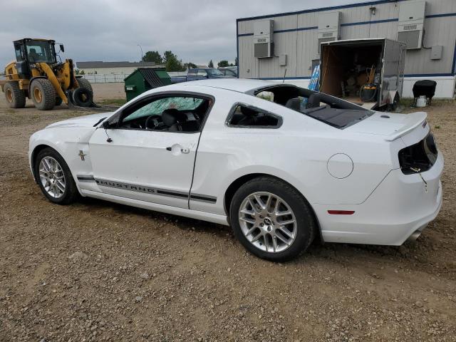 Photo 1 VIN: 1ZVBP8AM9E5304195 - FORD MUSTANG 