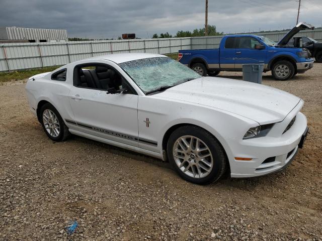 Photo 3 VIN: 1ZVBP8AM9E5304195 - FORD MUSTANG 