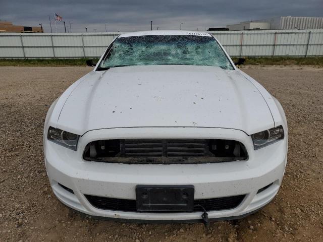 Photo 4 VIN: 1ZVBP8AM9E5304195 - FORD MUSTANG 