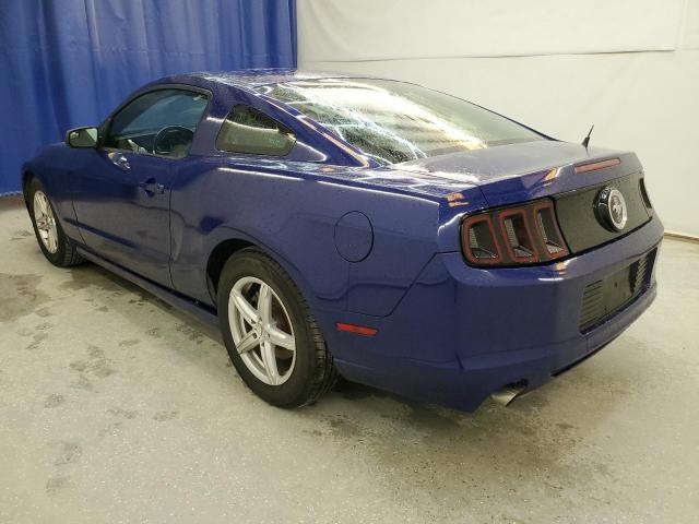 Photo 1 VIN: 1ZVBP8AM9E5309414 - FORD MUSTANG 