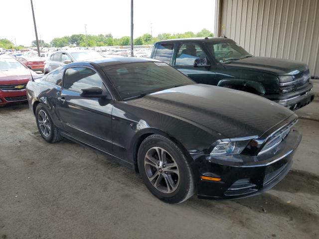 Photo 3 VIN: 1ZVBP8AM9E5313303 - FORD MUSTANG 