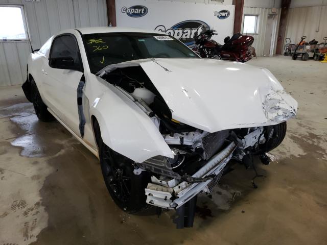 Photo 0 VIN: 1ZVBP8AM9E5313365 - FORD MUSTANG 