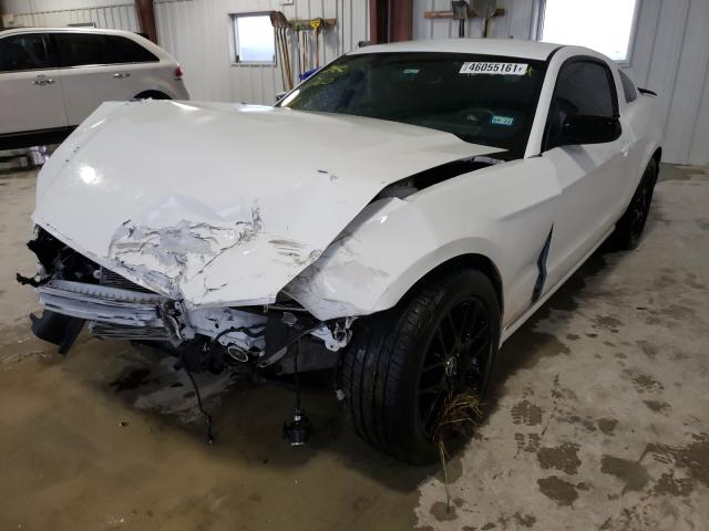 Photo 1 VIN: 1ZVBP8AM9E5313365 - FORD MUSTANG 