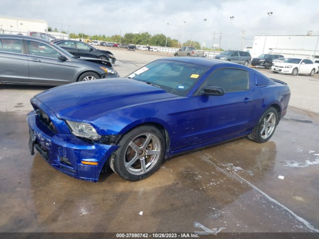 Photo 1 VIN: 1ZVBP8AM9E5316198 - FORD MUSTANG 