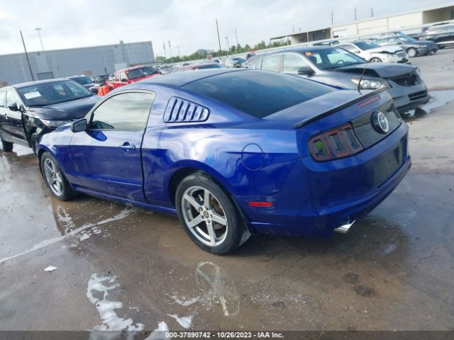 Photo 2 VIN: 1ZVBP8AM9E5316198 - FORD MUSTANG 