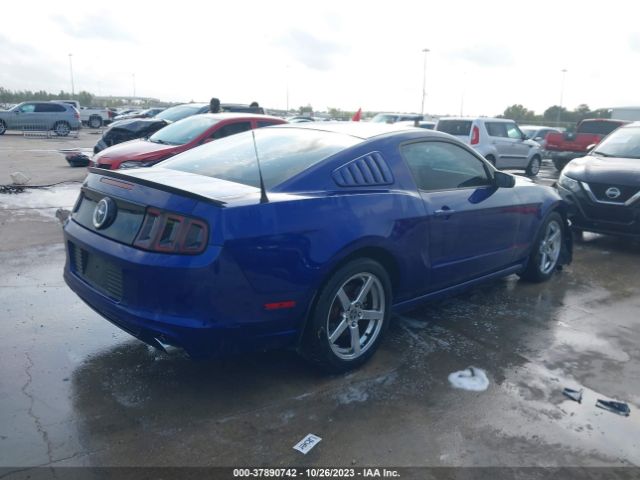 Photo 3 VIN: 1ZVBP8AM9E5316198 - FORD MUSTANG 