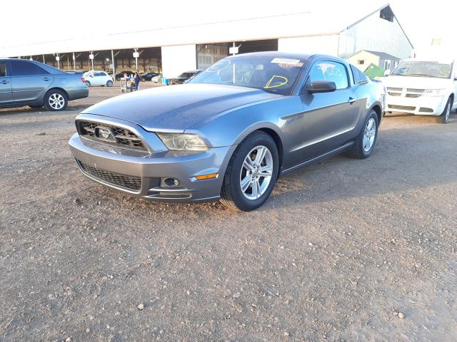 Photo 1 VIN: 1ZVBP8AM9E5316749 - FORD MUSTANG 