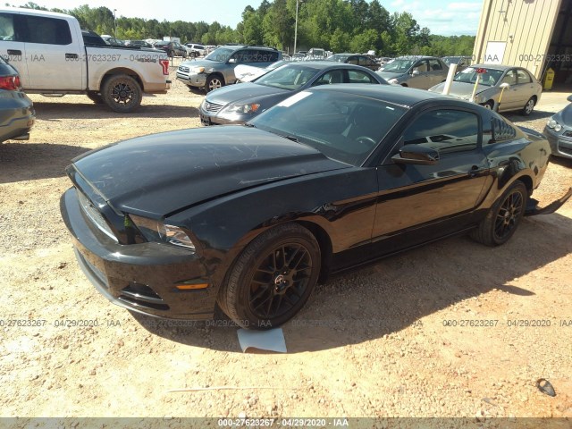 Photo 1 VIN: 1ZVBP8AM9E5324611 - FORD MUSTANG 