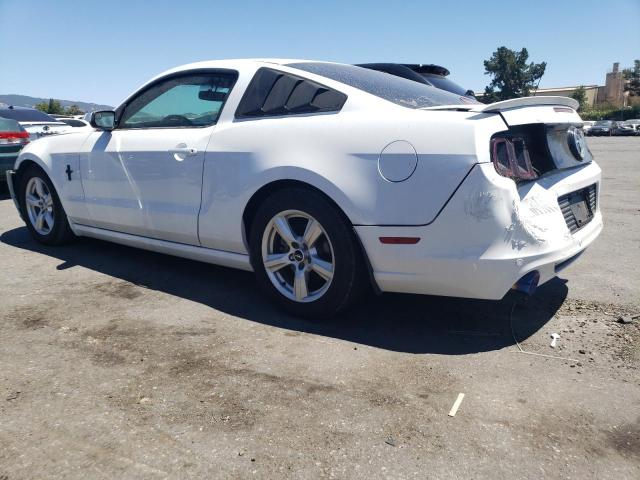 Photo 1 VIN: 1ZVBP8AM9E5333860 - FORD MUSTANG 