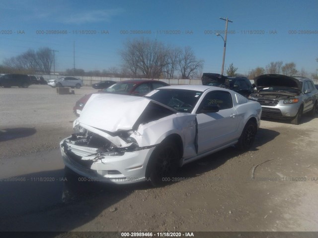 Photo 1 VIN: 1ZVBP8AM9E5334765 - FORD MUSTANG 