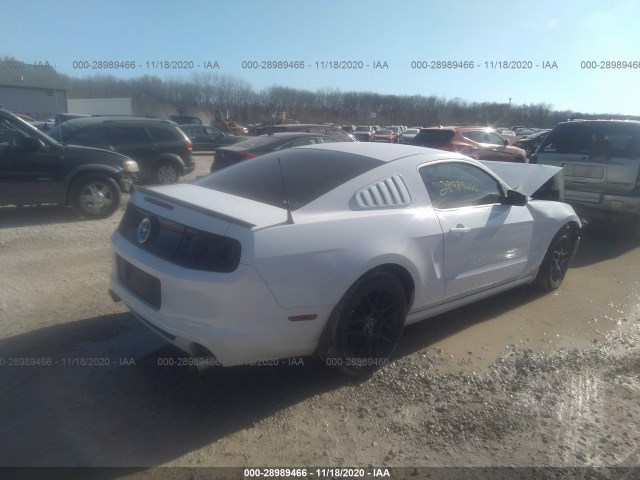 Photo 3 VIN: 1ZVBP8AM9E5334765 - FORD MUSTANG 