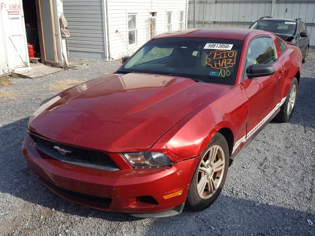 Photo 1 VIN: 1ZVBP8AMXB5151404 - FORD MUSTANG 