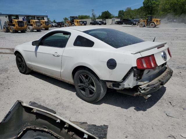 Photo 1 VIN: 1ZVBP8AMXB5152892 - FORD MUSTANG 