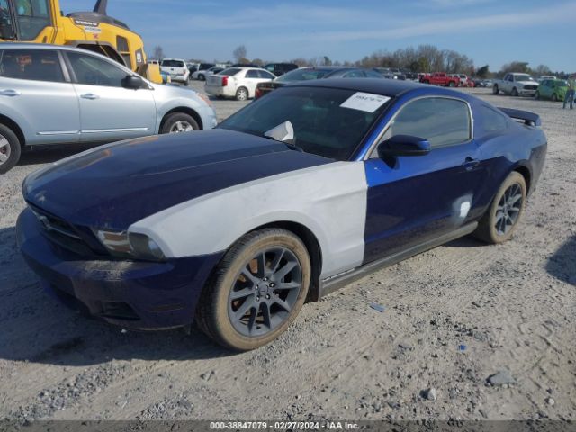 Photo 1 VIN: 1ZVBP8AMXB5153105 - FORD MUSTANG 