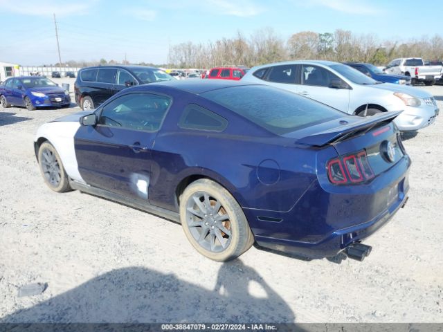 Photo 2 VIN: 1ZVBP8AMXB5153105 - FORD MUSTANG 