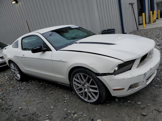 Photo 3 VIN: 1ZVBP8AMXC5209223 - FORD MUSTANG 