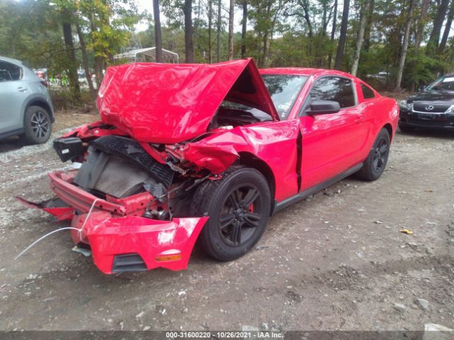 Photo 1 VIN: 1ZVBP8AMXC5211215 - FORD MUSTANG 