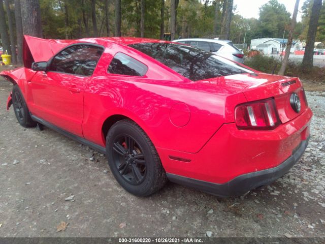 Photo 2 VIN: 1ZVBP8AMXC5211215 - FORD MUSTANG 