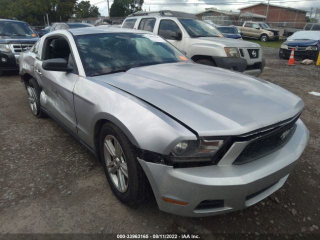 Photo 0 VIN: 1ZVBP8AMXC5218391 - FORD MUSTANG 