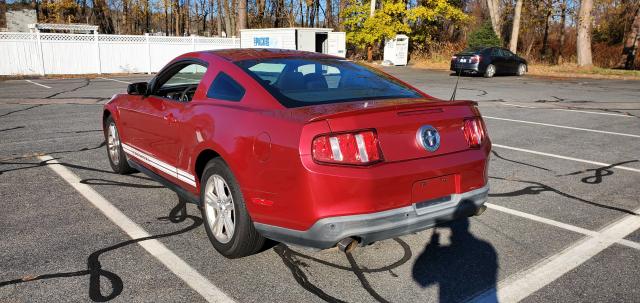 Photo 2 VIN: 1ZVBP8AMXC5223493 - FORD MUSTANG 