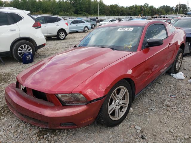 Photo 1 VIN: 1ZVBP8AMXC5229407 - FORD MUSTANG 