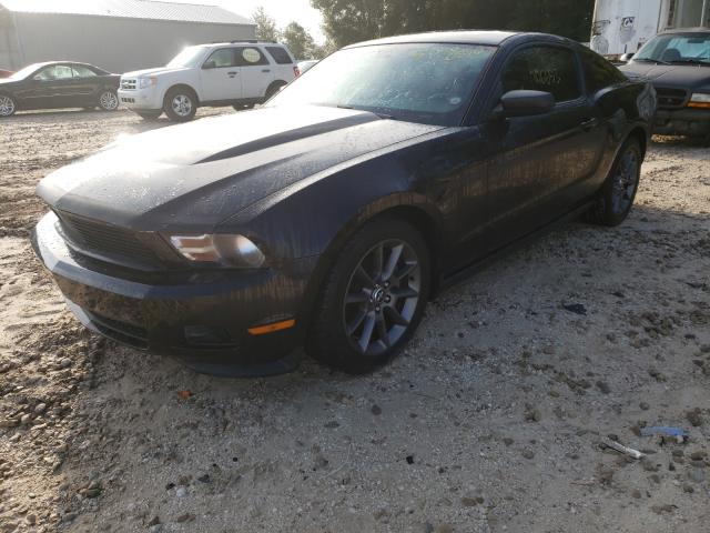 Photo 1 VIN: 1ZVBP8AMXC5258423 - FORD MUSTANG 