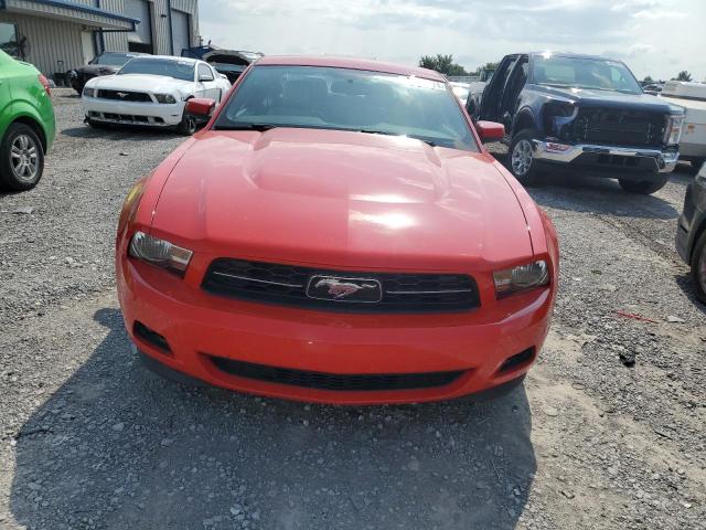 Photo 4 VIN: 1ZVBP8AMXC5258678 - FORD MUSTANG 