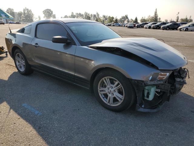 Photo 3 VIN: 1ZVBP8AMXC5262228 - FORD MUSTANG 