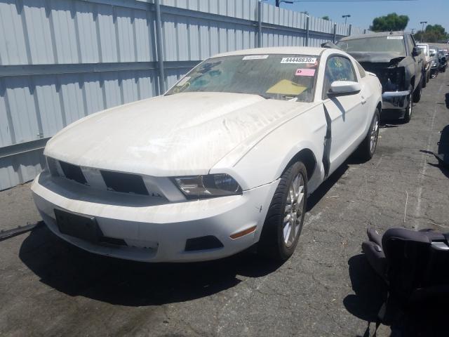 Photo 1 VIN: 1ZVBP8AMXC5276243 - FORD MUSTANG 