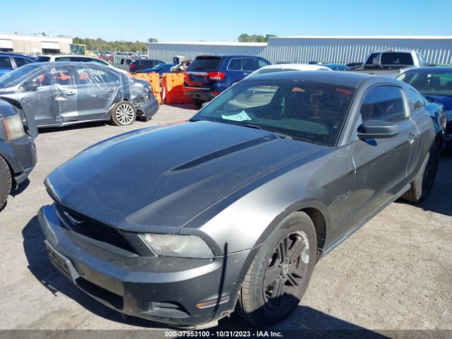 Photo 1 VIN: 1ZVBP8AMXC5281703 - FORD MUSTANG 