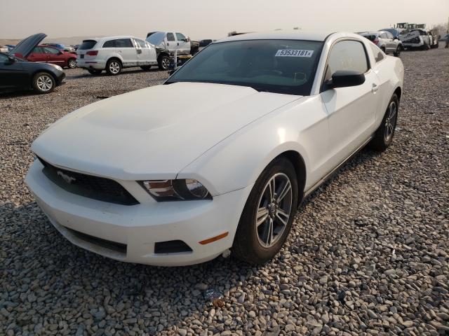 Photo 1 VIN: 1ZVBP8AMXC5282172 - FORD MUSTANG 